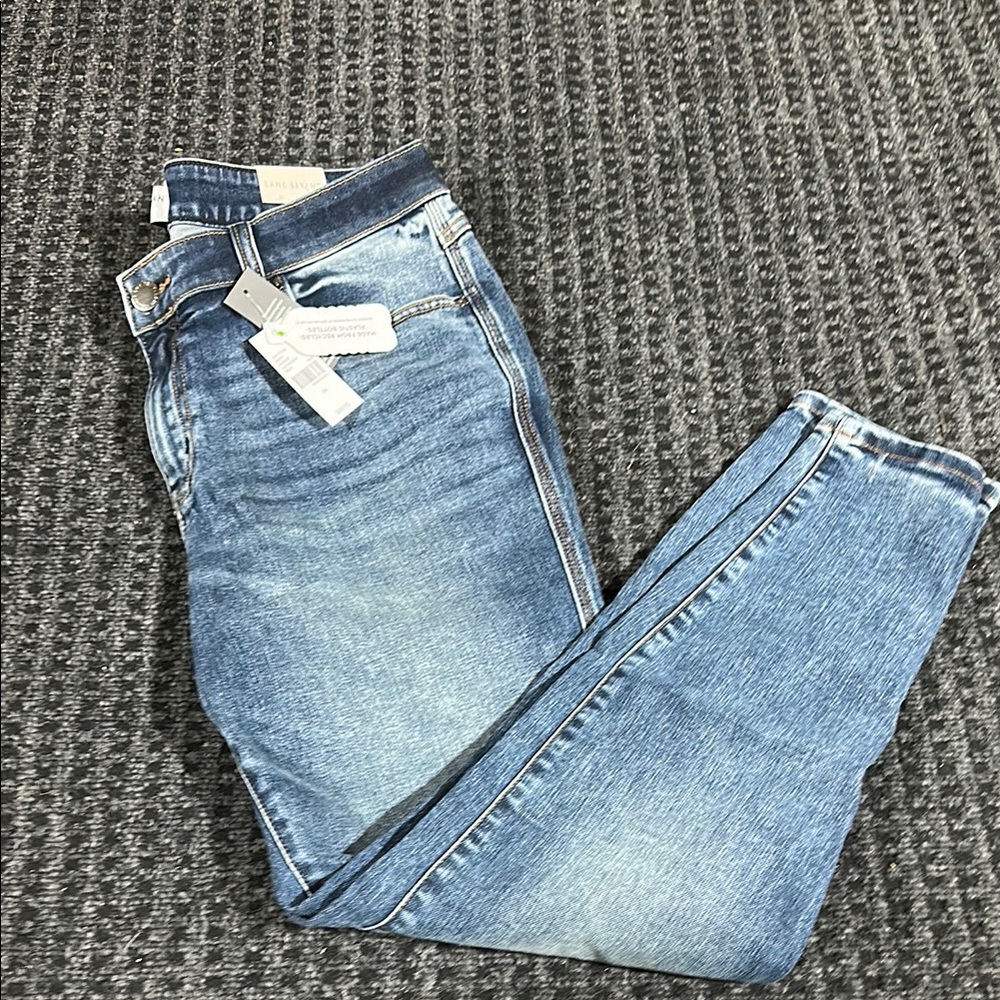 Lane Bryant Dark Wash Denim Jeans